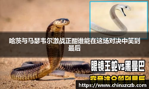 哈茨与马瑟韦尔激战正酣谁能在这场对决中笑到最后